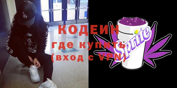 дурь Арсеньев