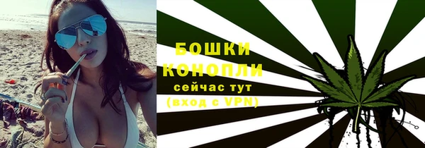 дурь Арсеньев