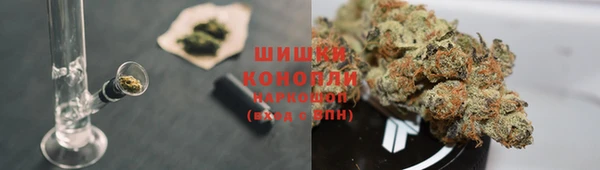 дурь Арсеньев